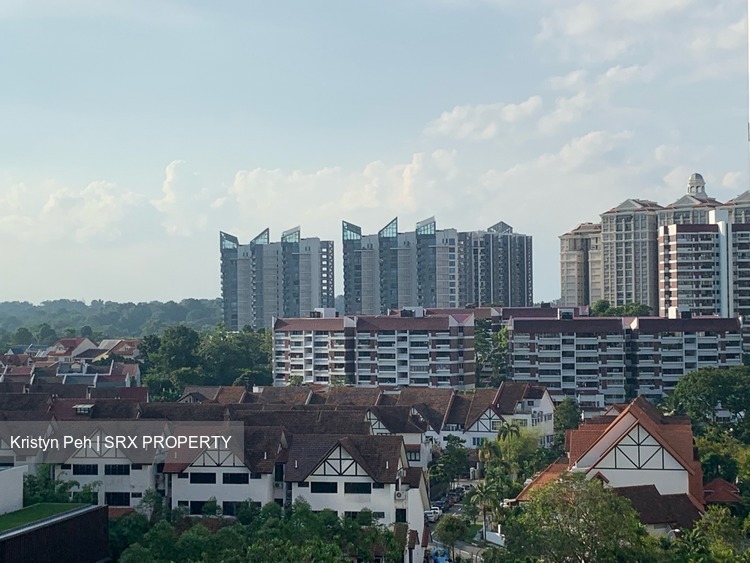Sin Ming Avenue thumbnail photo